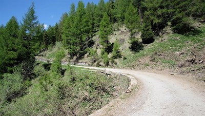 Im sanften Anstieg zur Prantneralm