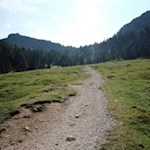 Der sanft ansteigende Weg Nr. 528