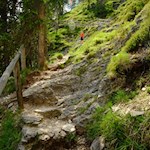 Naturbelassen und traumverloren, der Weg zur Gardenacia Hütte