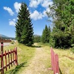 Am Beginn des Wald- und Wiesenweges zur Auerleger Alm