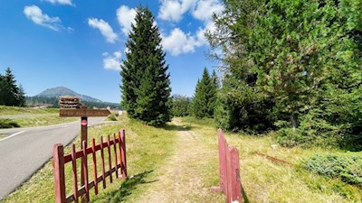 Am Beginn des Wald- und Wiesenweges zur Auerleger Alm