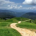 Der Weg Nr. 15 steigt durch sattgrüne Wiesen zur Kölner Hütte an