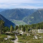 Hinter der Waldgrenze dehnen sich aussichtsreiche Bergwiesen aus