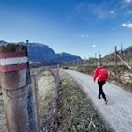 Durch Weinberge zurück zum Kalterer See