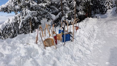 Rodelvergnügen für die ganze Familie
