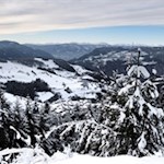 Bereits während des Anstiegs zum Hofer Alpl öffnen sich malerische Ausblicke