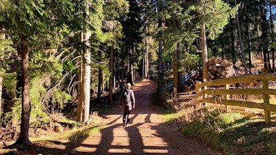 Durch Wald und Wiesen von Planet zu Planet