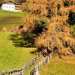 First we follow the Bergbauernweg