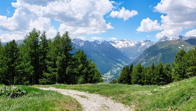Ausblick nahe der Hühnerspielhütte