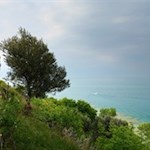 Le Grotte di Catullo si affacciano direttamente sul Lago di Garda