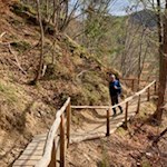Im sanften Auf und Ab zu den Steinegger Erdpyramiden