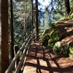 Nahezu eben quert der Gaiser Waalweg einen steilen Waldhang