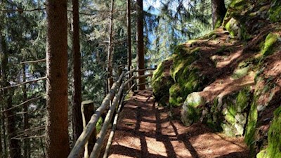 Nahezu eben quert der Gaiser Waalweg einen steilen Waldhang