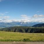 Ausblick von der Steiner Alpe auf die Dolomiten