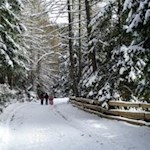 Winterwanderung zur Prantneralm