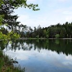 Ursprünglich-für-die-Fischzucht-angelegt-ist-das-Fischen-heute-am-Völser-Weiher-verboten