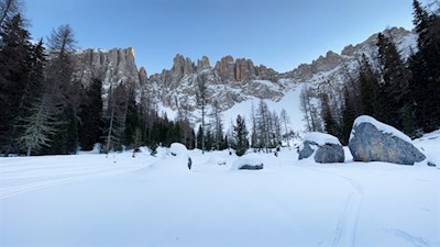 Mitterleger im Winter