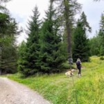 Schließlich zweigt der Steig Nr. 23 vom breiten Weg ab