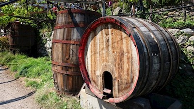 Längs des Algunder Waalweges werden unterschiedlichste Rot- und Weißweinsorten angebaut