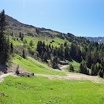 Schließlich öffnen sich die weiten Almwiesen der Gewingesalm