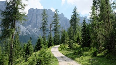 Während des Anstiegs fällt unser Blick auf den Zwischenkofel