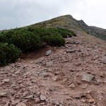 Die letzten Aufstiegsmeter auf das porphyrhaltige Schwarzhorn