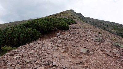 Die letzten Aufstiegsmeter auf das porphyrhaltige Schwarzhorn
