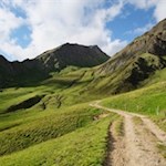 Durch grüne Bergwiesen zur Tschiffernaun Alm