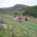 Inmitten grüner Weidewiesen liegt die Tesselberger Alm