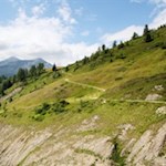 Durch eine bukolische Landschaft von der Stegeralm zur Alprechtalm