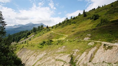 Durch eine bukolische Landschaft von der Stegeralm zur Alprechtalm