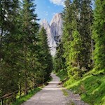 Against the backdrop of the Geisler peaks to Glatsch Alm mountain hut