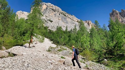 In numerous serpentines to the Croda da Lago moutain hut