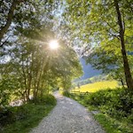 Im Schein der linden Sommersonne zum Larchhof