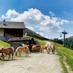 Kirchsteiger Alm mit dem Spieler im Hintergrund