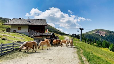 Kirchsteiger Alm mit dem Spieler im Hintergrund