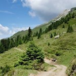 Durch die verträumten Almwiesen zur Kuhalm