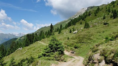 Durch die verträumten Almwiesen zur Kuhalm