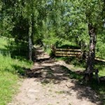 Zwischen Dreikirchen und Briol