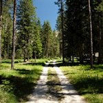 Sentiero forestale in direzione della Capanna Alpina
