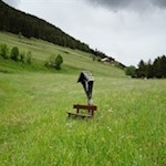 Unsere Wanderung führt zunächst durch die blumenreichen Tesselberger Wiesen