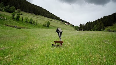 Unsere Wanderung führt zunächst durch die blumenreichen Tesselberger Wiesen
