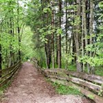 Vom Wanderweg Nr. 13 zweigt schließlich der Weg Nr. 15A ab