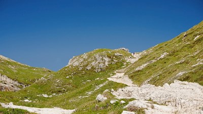 Durch steinbeschlagene Bergwiesen zur Drei Zinnen Hütte