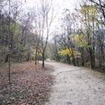 Der Panoramaweg zur Haselburg wird von Bäumen umsäumt 