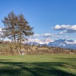 Die Lärchenwiesen des Salten stehen in bezauberndem Kontrast zu den Dolomiten