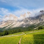 La malga Brogles, ricca di fiori, si staglia sullo sfondo delle Dolomiti