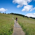 Im sanften Anstieg zur Contrin Schwaige