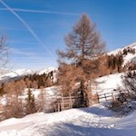 Lärchenwiesen unterhalb der Enzianhütte
