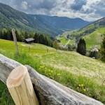 Die Wanderung zur Untertrumpedeller Schwaige führt durch eine idyllische Landschaft